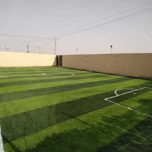 عشب ملاعب كرة قدم